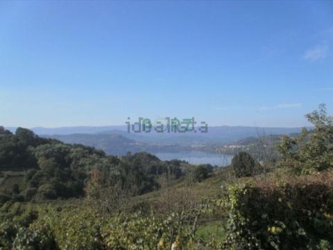 Casa con finca en Castrelo de  Miño