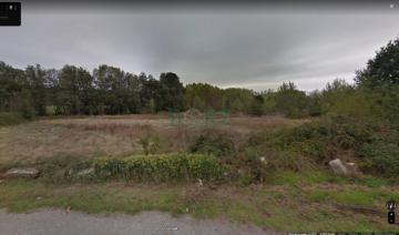 FINCA EN PEREIRO DE AGUIAR