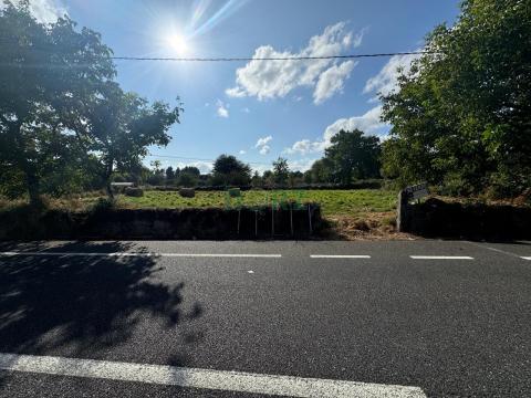 Venta - San Cristovo de Cea - S000135