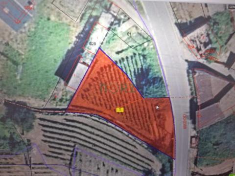 PARCELA URBANIZABLE CON VIÑEDO EN CENLLE